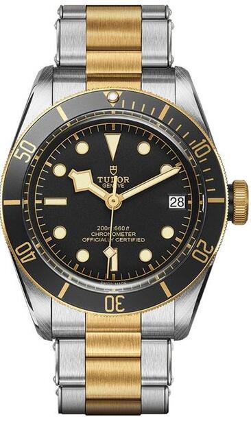 Replica Tudor M79733N-0002 Heritage Black Bay Men Automatic Luxury watch